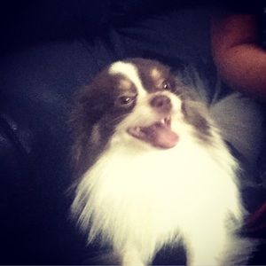 Meet your Posher, Jade